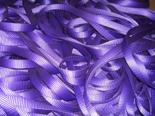 comprare 1T Polyester Multi Colored Webbing Roll, Polyester Sling Webbing Certificato TUV GS online manufacture