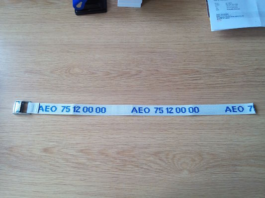 comprare Cinghie di ancoraggio per impieghi gravosi in poliestere, fibbia a camma senza fine per il trasporto online manufacture