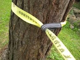 comprare Strappo da passeggio per sport all'aria aperta online manufacture